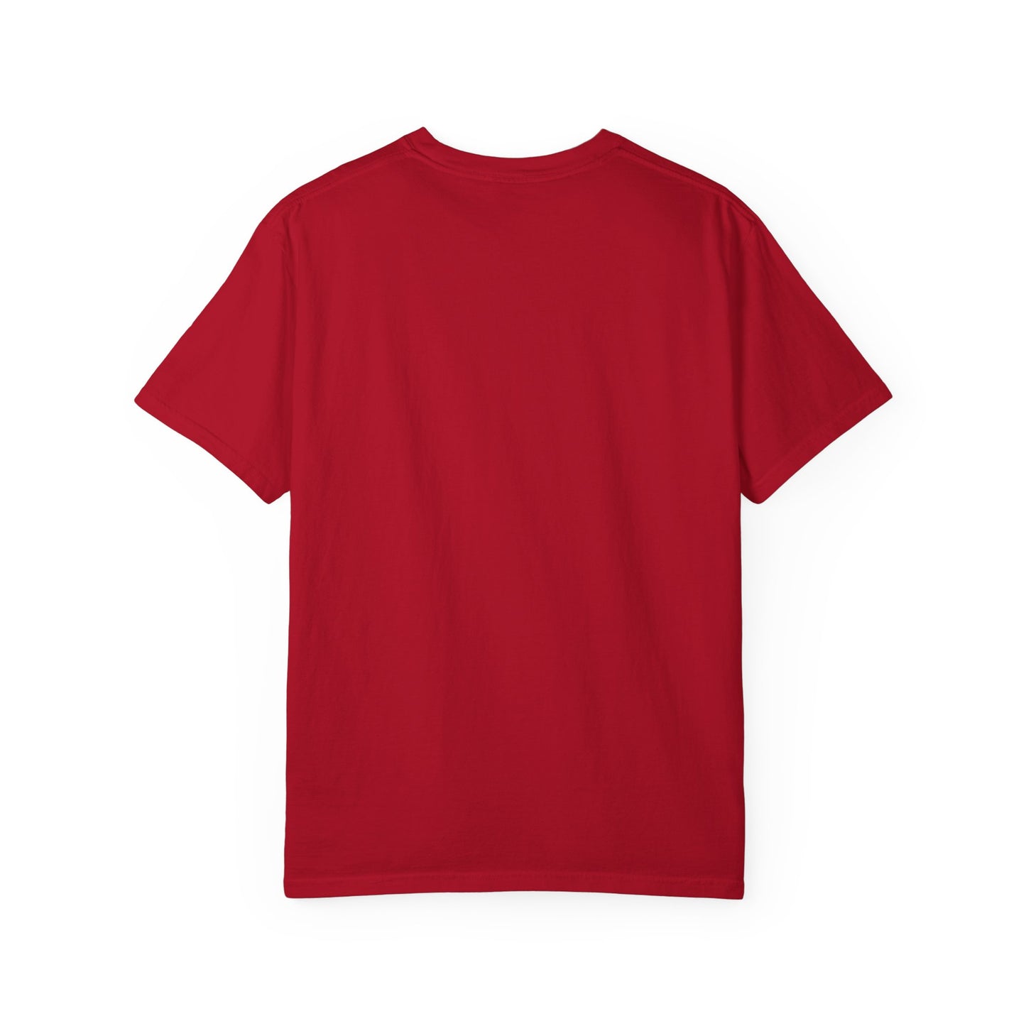 TreasureCast Adult T-Shirt