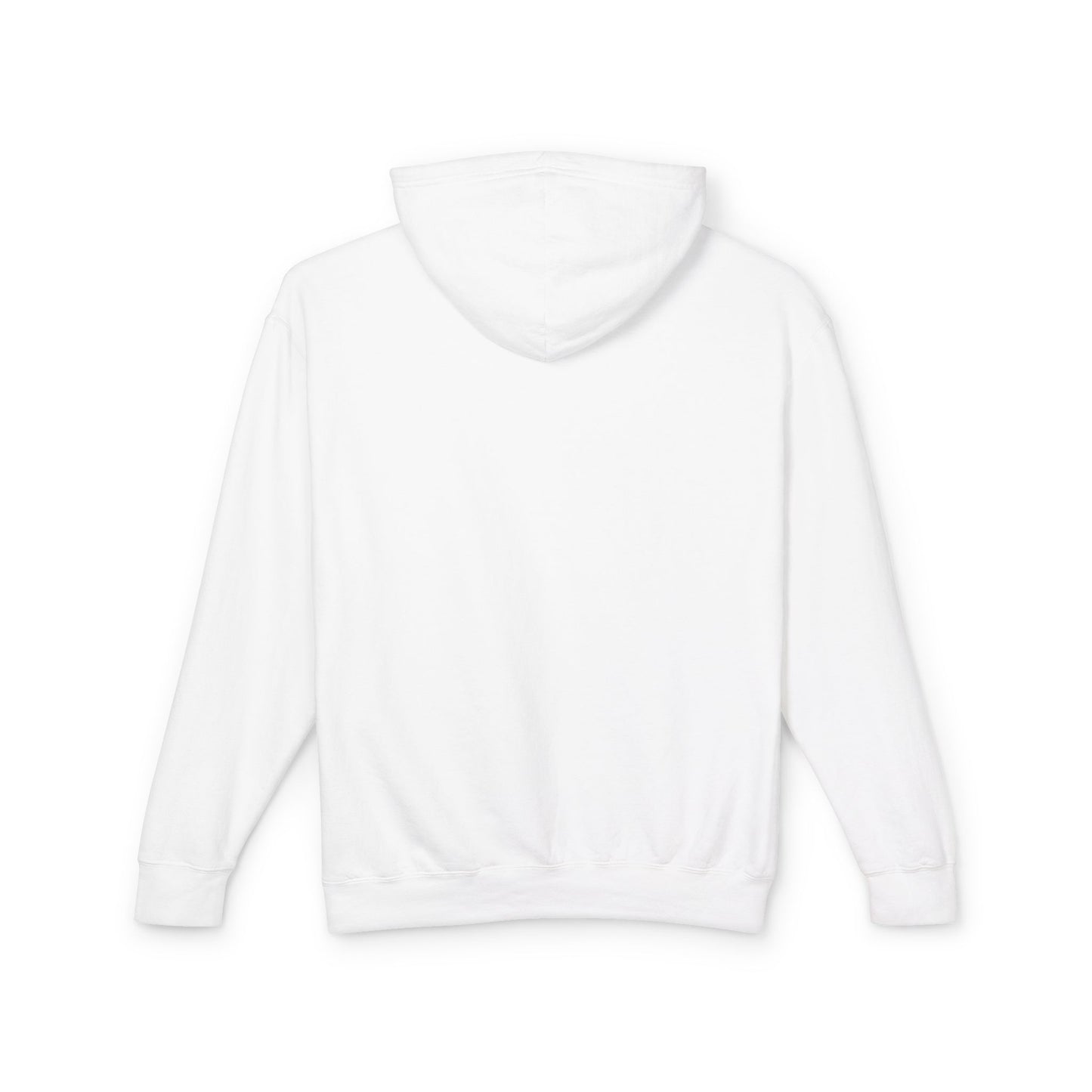 Sweatshirt- Comfortable TreasureCast Unisex Hoodie